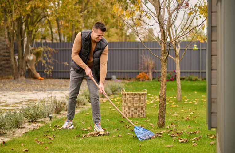 Ekonomične ograde za svako dvorište