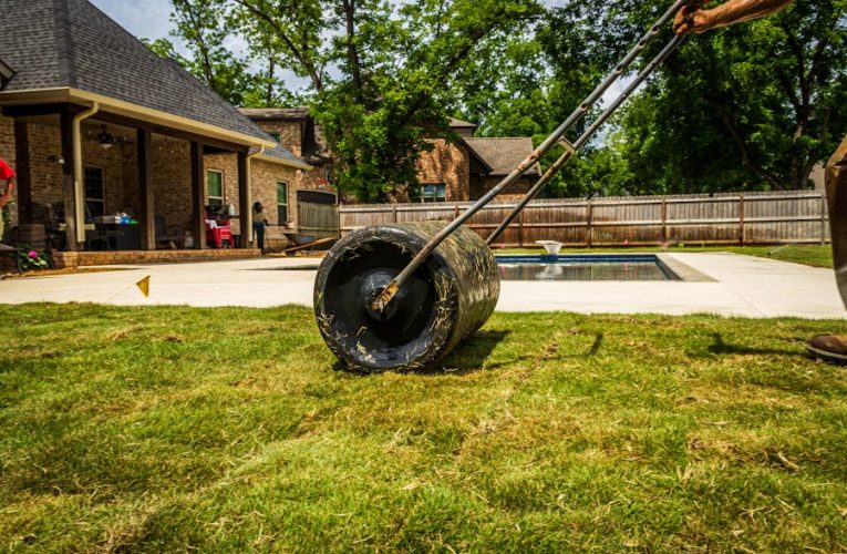 Kako pripremiti travnjak za prolećnu sezonu?