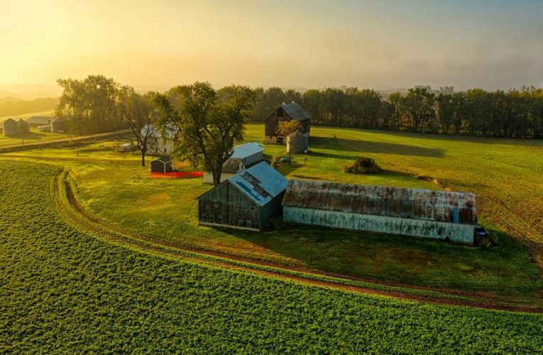 Kako da pomoćni objekti na imanju budu uređeni tako da zaista služe svrsi?
