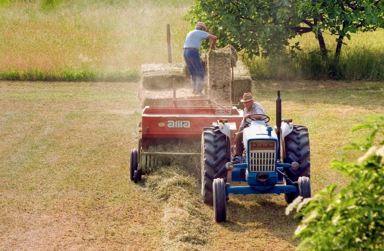 Upotreba i korist sena u poljoprivredi
